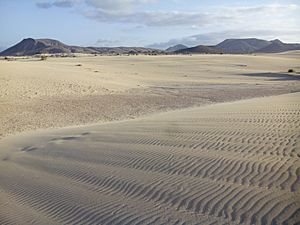 Archivo:Arena y viento, Dunas de Corralejo, Fuerteventura, España, 2015