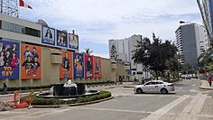 Archivo:Avenida San Felipe - Vista 3
