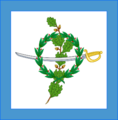 Bandera Parlamentaria del Supremo Congreso Mexicano