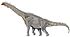 Brachiosaurus DB.jpg