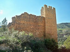 Archivo:Castillo de Las Huertas (Molinicos - Albacete)