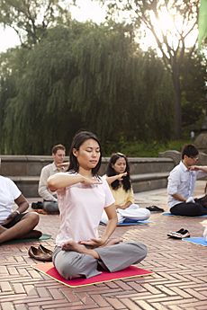 Archivo:Falun Gong Meditation in Manhattan New York