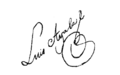Firma de Luis de Ayala y Vergara