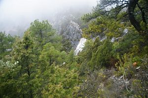 Archivo:Fresneda de la Sierra Cuenca Cascada Natural Peña Cagurrial El Chorrillo 01