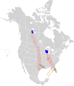 azul = nidificación, rosa = ruta migratoria, verde = presente todo el año, gris = presente todo el año (experimental), naranja = invernada.