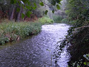Archivo:Guadarrama River Las Rozas