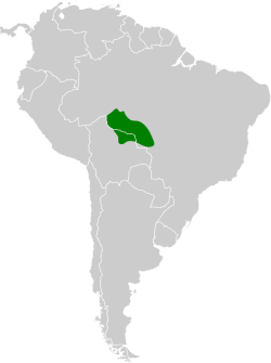 Distribución geográfica del hormiguero de Rondonia.