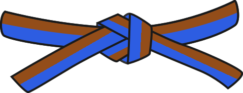 Judo blue-brown belt