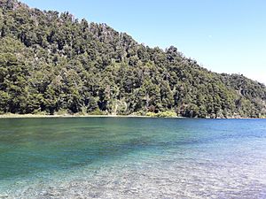 Archivo:Lago Espejo Chico, Neuquen, Argentina