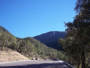 Archivo:Madera Canyon Arizona