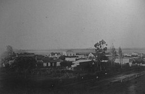 Archivo:Merlo 1880