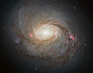 Archivo:Messier 77 spiral galaxy by HST
