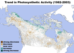Archivo:Northern Forest Trend in Photosynthetic Activity