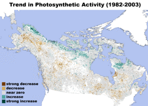 Archivo:Northern Forest Trend in Photosynthetic Activity