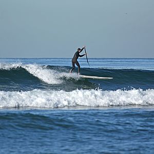 Archivo:Paddle surfing 3 2008