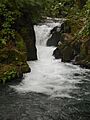 Parque Nacional, Uruapan, Michoacán.