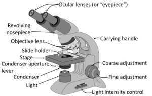 Archivo:Parts of a light microscope (english) - larger text