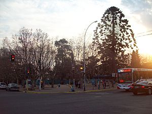 Archivo:Plaza Muñiz 4