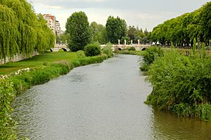 Río Arlanzón en primavera.JPG