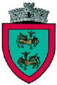 ROU SV Gramesti CoA