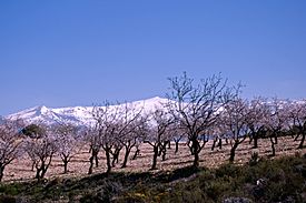Sierra Nevada 4 v03.jpg