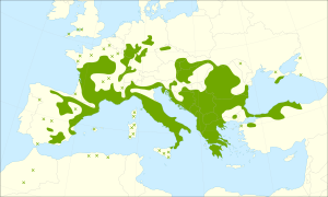Archivo:Sorbus domestica range