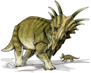 Archivo:Styracosaurus dinosaur