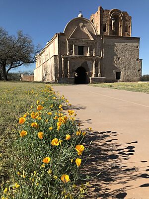 Archivo:Tumacacori mission church with poppies (32d88b6c-a10e-40c9-9d9b-0f1b8371ef0d)