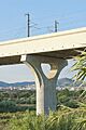 Viaducte de Sant Boi de Llobregat 11