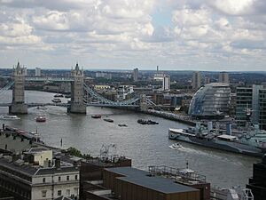 Archivo:Vista desde The monument