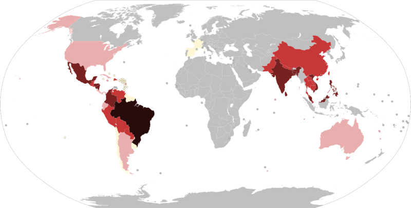2019-2020 dengue fever epidemic (1)