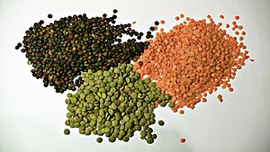 Archivo:3 types of lentil
