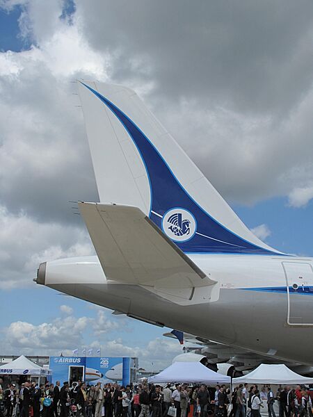 Airbus A320 Air France Tail