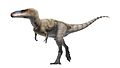 Alioramus Life Restoration