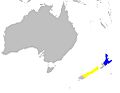 Anarhynchus frontalis distribution