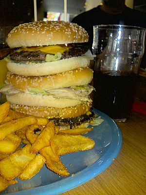 Archivo:Burger and fries (2)