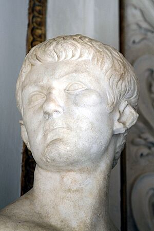 Archivo:Bust of Agrippa Postumo - Palazzo Nuovo - Musei Capitolini - Rome 2016
