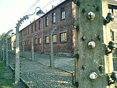 Archivo:Campo de concentracion Auschwitz-Polonia0066