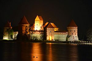 Archivo:Castle at night