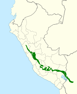 Distribución de Chalcostigma olivaceum