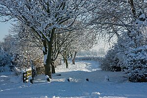 Archivo:Cottingham Snuff Mill Lane winter snow - panoramio