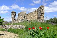 Ermita de San Martin-Cornago-21252