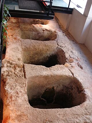 Fábrica romana de Salga 05.jpg
