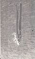 Flammability test for film used in Edison home projecting kinetoscope, burning film attached to wall of building. (7cb22f5a-e71a-42cd-a61c-d6a0de681e01)