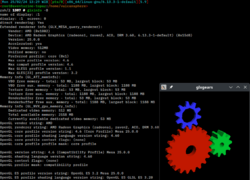 Glxinfo with glxgears screenshot.png