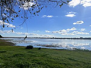 Archivo:Great Marsh of Almonte