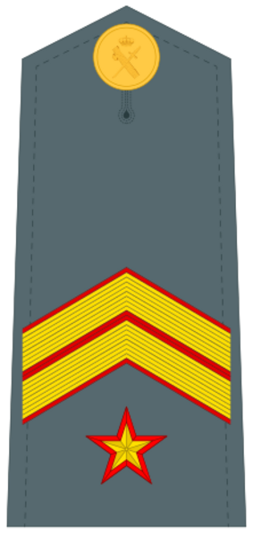 Guardiacivildivi34