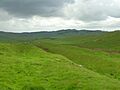 Hadrian's Wall Vallum - 2007-05-19