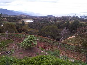 Archivo:Hato de Las Pérez