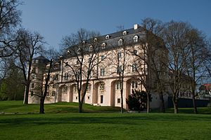 Archivo:Herzogin Anna Amalia Bibliothek, Weimar - 3